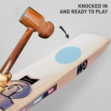 GM Chroma 555 English Willow Cricket Bat