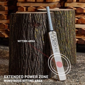 GM Icon 505 English Willow Cricket Bat