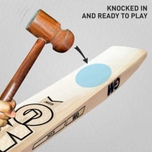 GM Icon 505 English Willow Cricket Bat