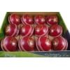 AJ MATCH Cricket Balls (Red) - Pack of 12 Balls
