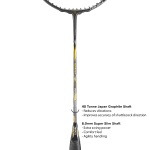 Apacs Fantala 6.0 Control Badminton Racket