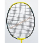 Ashaway Terminator 009 Badminton Racket