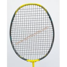Ashaway Terminator 009 Badminton Racket