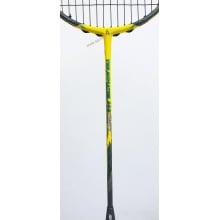 Ashaway Terminator 009 Badminton Racket