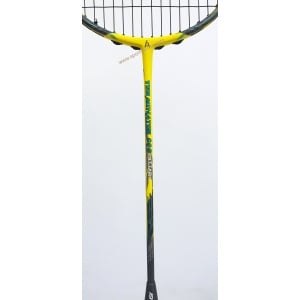 Ashaway Terminator 009 Badminton Racket