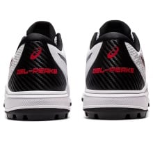 Asics Gel Peake 2 Cricket Shoes