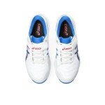 Asics Speed Menace FF Cricket Spike Shoes