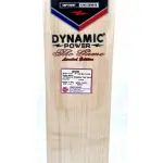 BDM Dynamic Power Game English Willow Cricket Bat