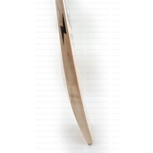 BDM Dynamic Power game limited edition English Willow Cricket Bat BDM Dynamic Power Game English Willow Cricket Bat