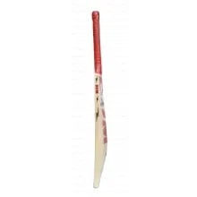 BDM Grand Master English Willow Cricket Bat