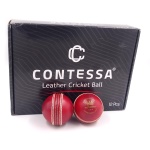 Contessa Test Match Cricket Ball - Pack of 2