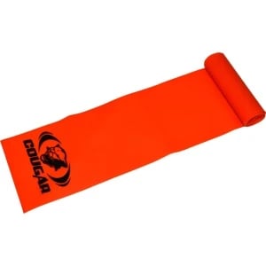 Cougar Fitness Band Cougar Fitness Band