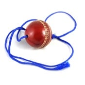 Hanging Cricket Leather Ball for Practice