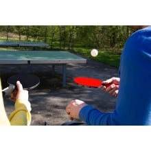 Donic T.T Ball Avantgarde 3* - Pack of 6