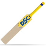 DSC DJBravo 47 English Willow Cricket Bat