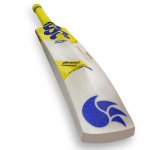 DSC DJBravo 47 English Willow Cricket Bat