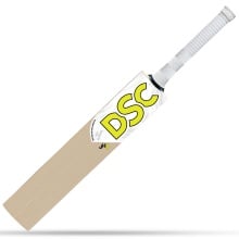 DSC JH8 - Jason Holder English Willow Cricket Bat