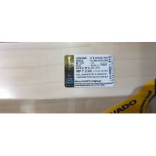 DSC Bravado Dare English Willow Cricket Bat