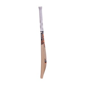 DSC Intense Pro English Willow Cricket Bat