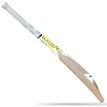 DSC JH8 - Jason Holder English Willow Cricket Bat DSC JH8 - Jason Holder English Willow Cricket Bat