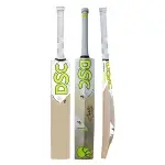 DSC JH8 - Jason Holder English Willow Cricket Bat