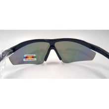 DSC Passion Cricket Sunglasses