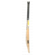 DSC XLite 4.0 English Willow Cricket Bat