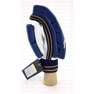 EM Maxxum 2.0 Batting Gloves - Gujarat Titans EM Maxxum 2.0 Batting Gloves - Gujarat Titans