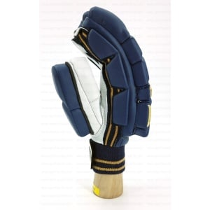 EM Maxxum 1.0 Batting Gloves - Gujarat Titans EM Maxxum 1.0 Batting Gloves - Gujarat Titans