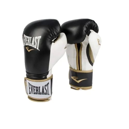 Everlast Boxing Gloves 