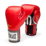 Everlast Pro Style Boxing Gloves - 10 oz