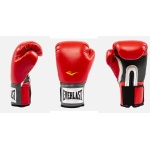 Everlast Boxing Gloves 