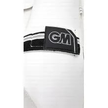 GM players edition thigh combo set GM Cricket Thigh Guard Combo