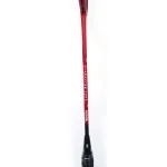 Gosen GraEnergy 120L Badminton Racket