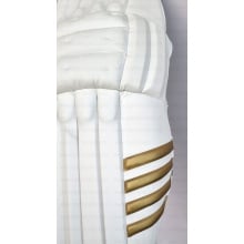 Gray Nicolls Gold Edition Batting Pads