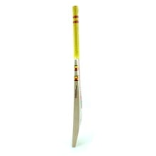 Gray Nicolls Ignite Beast English Willow Cricket Bat