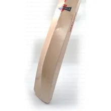 Gray Nicolls Prestige 8.5 English Willow Cricket Bat