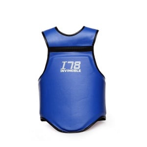 Invincible Reversible Wushu Chest Guard Invincible Reversible Wushu Chest Guard