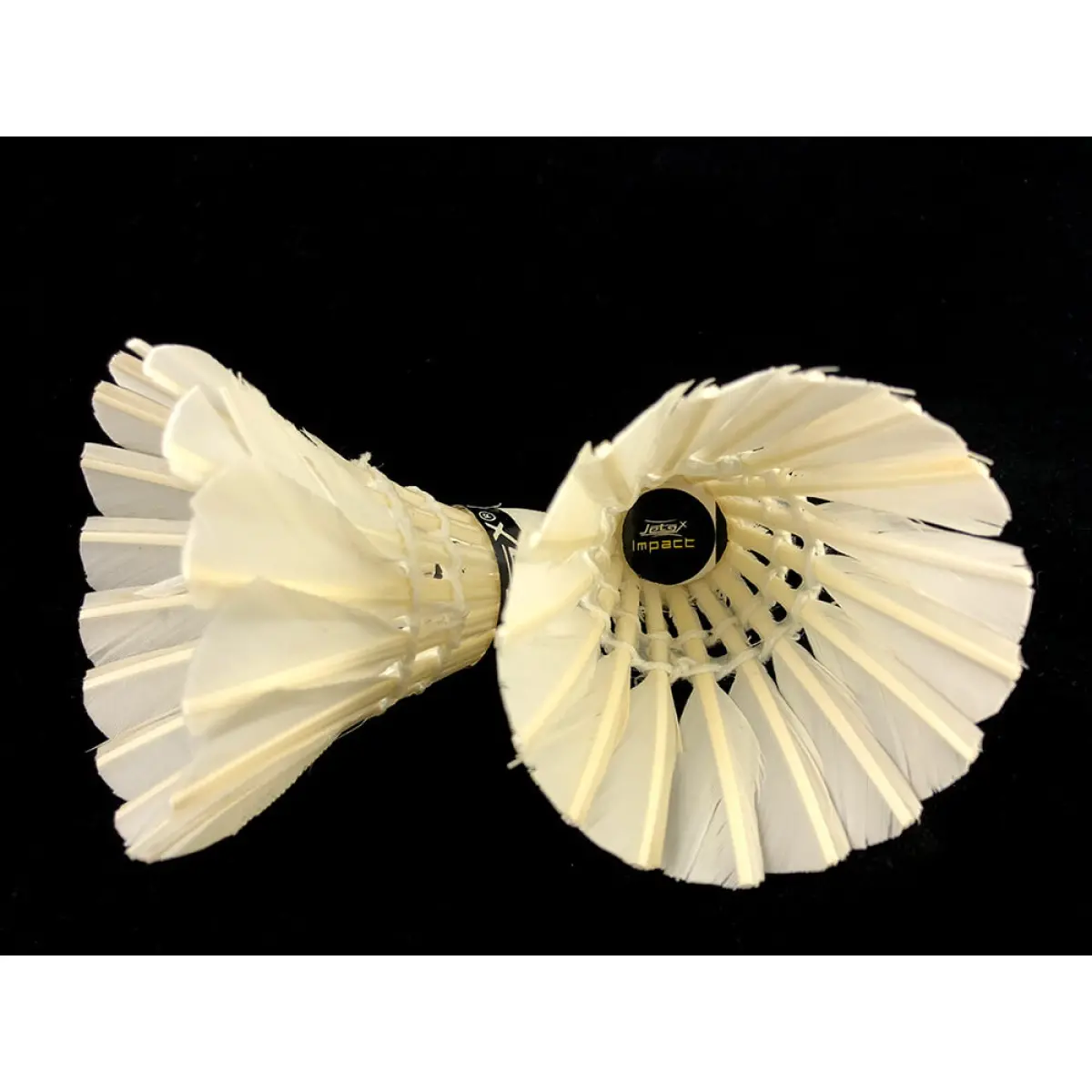 Buy Jetex Impact Hen Feather Shuttlecock at Lowest Prices