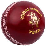 Kookaburra Turf Red Cricket Ball