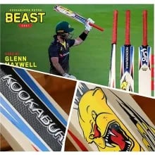 English Willow Cricket Bat beast 4 Beast 4 English Willow Cricket Bat
