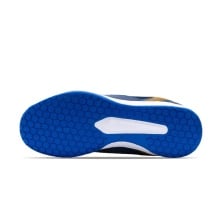LiNing Ultra Badminton Shoes