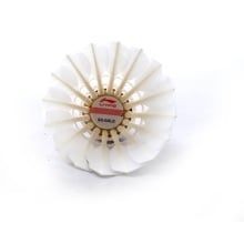 LiNing SG-GOLD Feather Shuttlecock (Pack of 2) LiNing SG GOLD Feather Shuttlecock (Pack of 2)