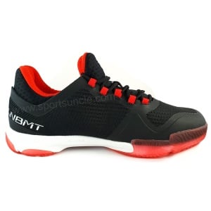 LiNing Badminton Shoes