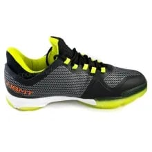 LiNing Badminton Shoes LiNing Badminton Shoes