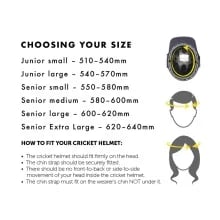 Masuri C-Line Steel Cricket Helmet