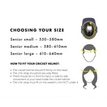 Masuri TrueFit 3D T-Line Titanium Cricket Helmet