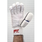 MRF 360 Cricket Batting Gloves