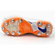 Nike Domain 2 Cricket Shoes