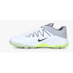 Nike Domain 2 NS Cricket Shoes